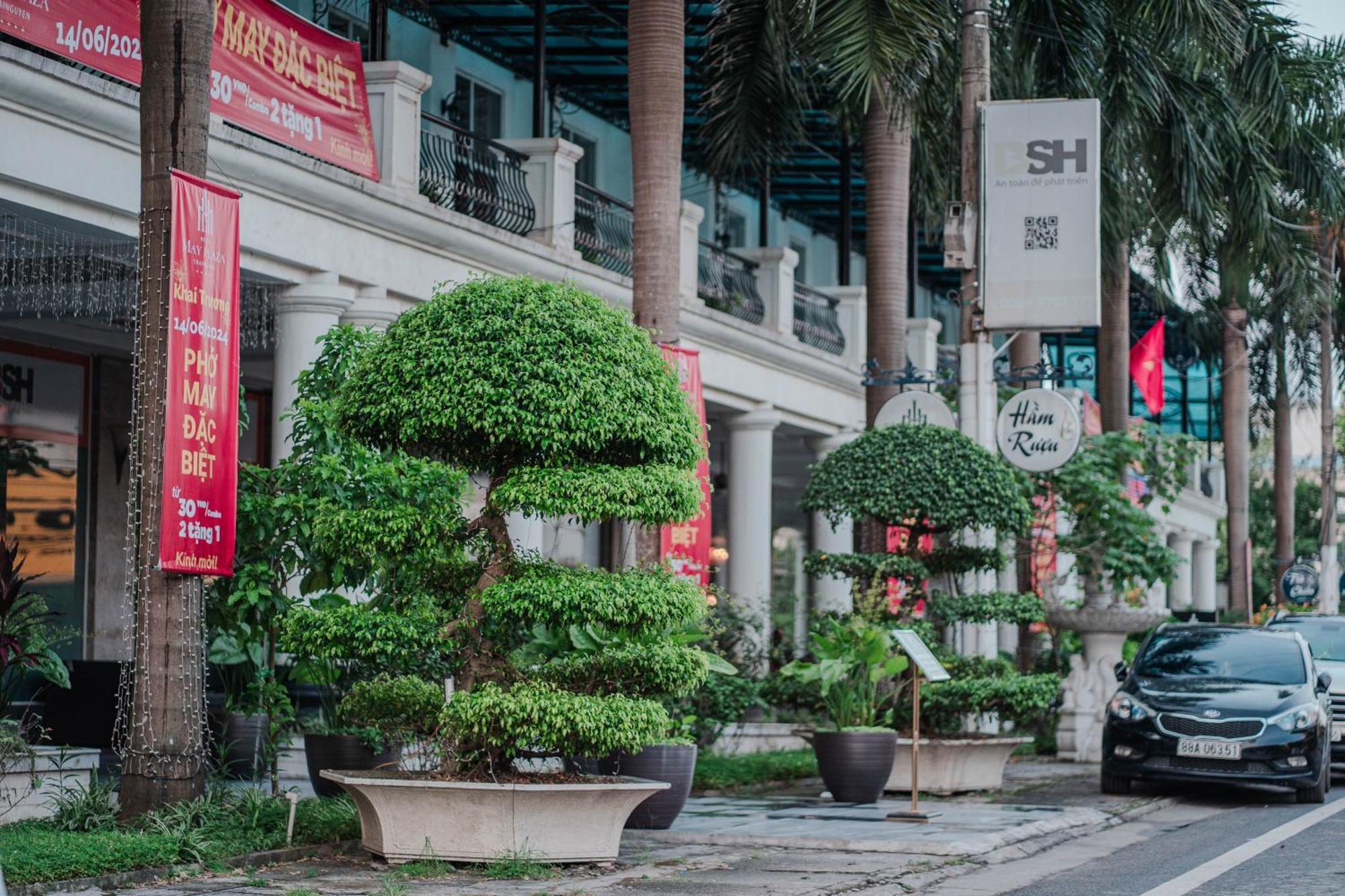 May Plaza Hotel Thái Nguyên Dış mekan fotoğraf